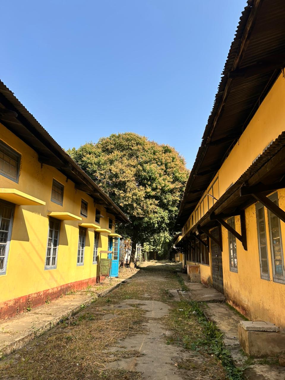 Campus View 2